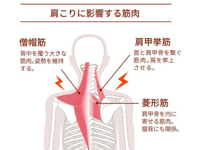 冷房による首肩の辛さありませんか？？