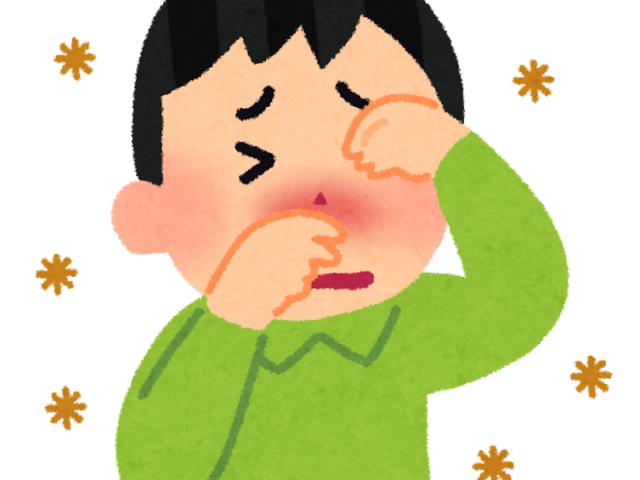 花粉症が首の不調を引き起こす理由 さいたま市見沼区みぬま整骨院